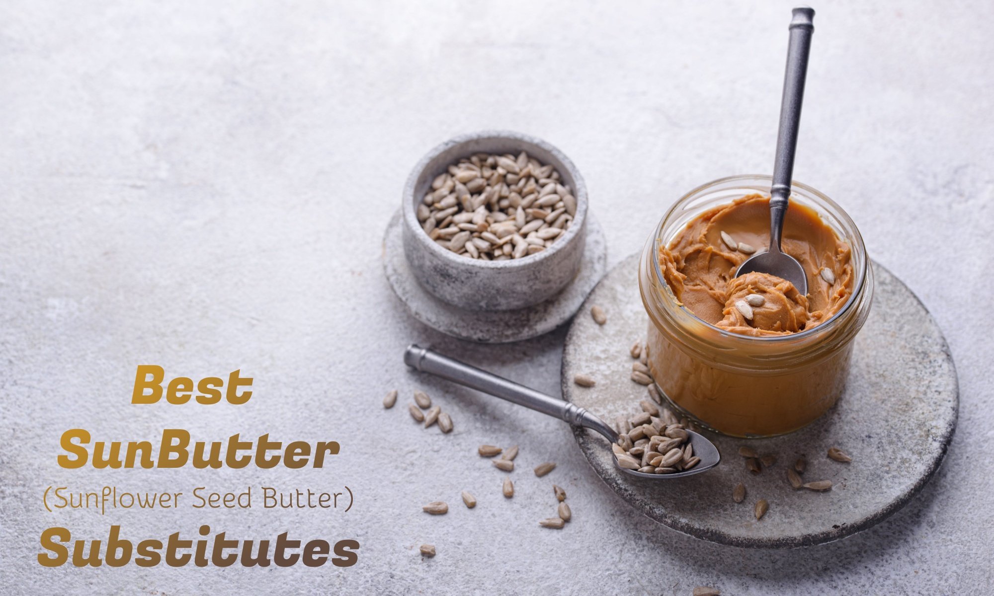 7 Best SunButter (Sunflower Seed Butter) Substitutes The Coconut Mama