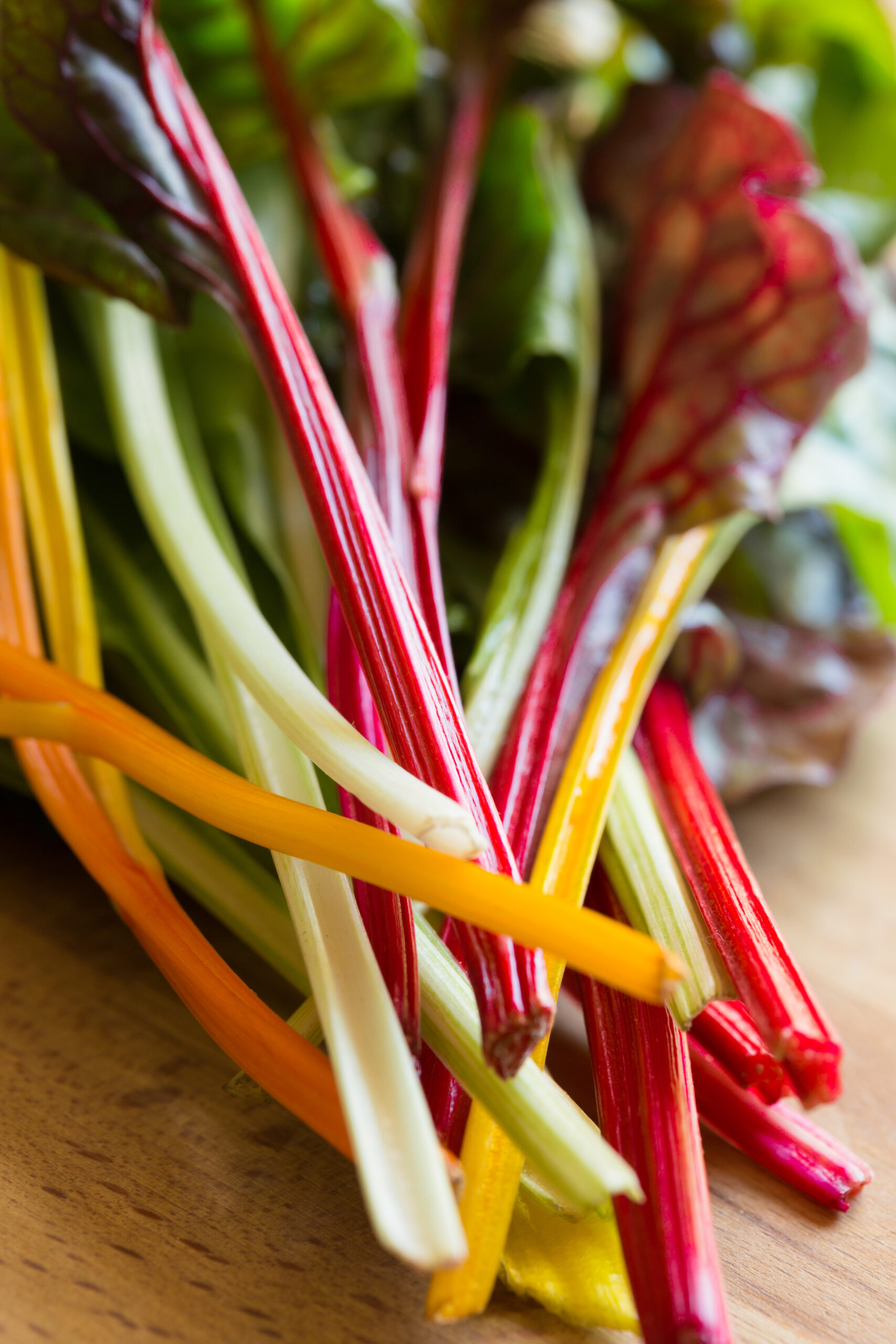 Close-up of rainbow chard leaves. 