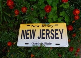 New Jersey license plate