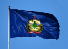 Vermont flag