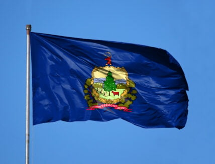 Vermont famously hates them, but these 5 national chain restaurants have more than 10 locations