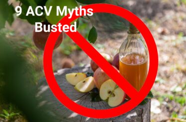 Bottle of apple cider vinegar and some sliced apples on a stump, covered with a red "cancel" sign - with text above reading: "9 ACV Myths Busted"
