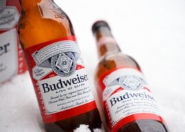 Budweiser bottles
