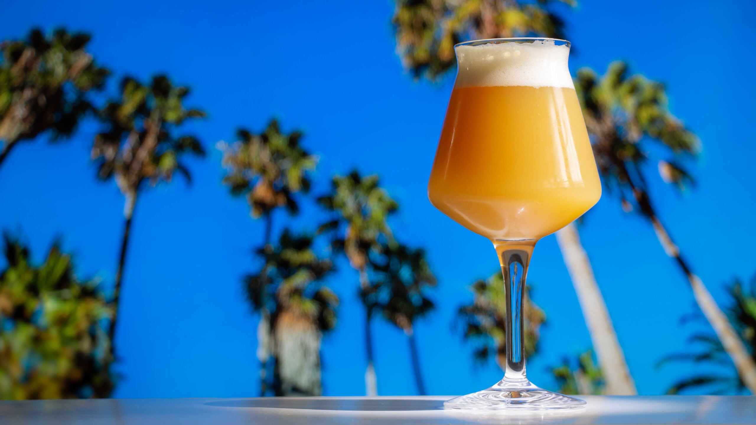 A refreshing Hazy IPA on a palm tree background.