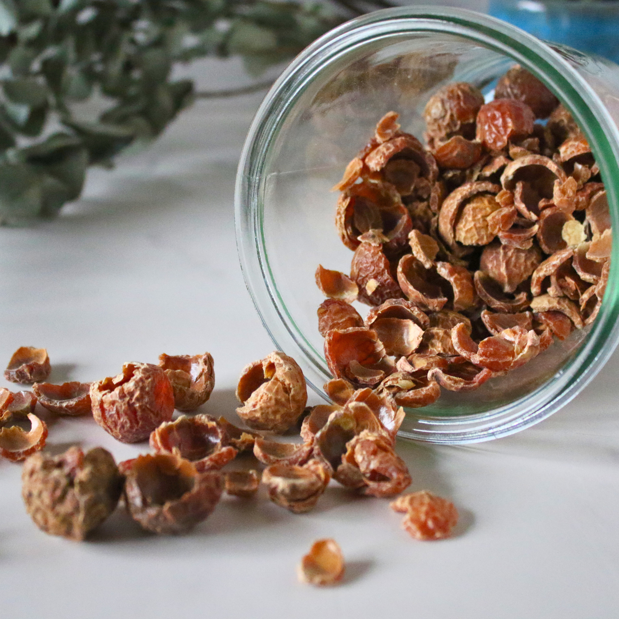 A glass jar of soap nuts poured out on a countertop. 