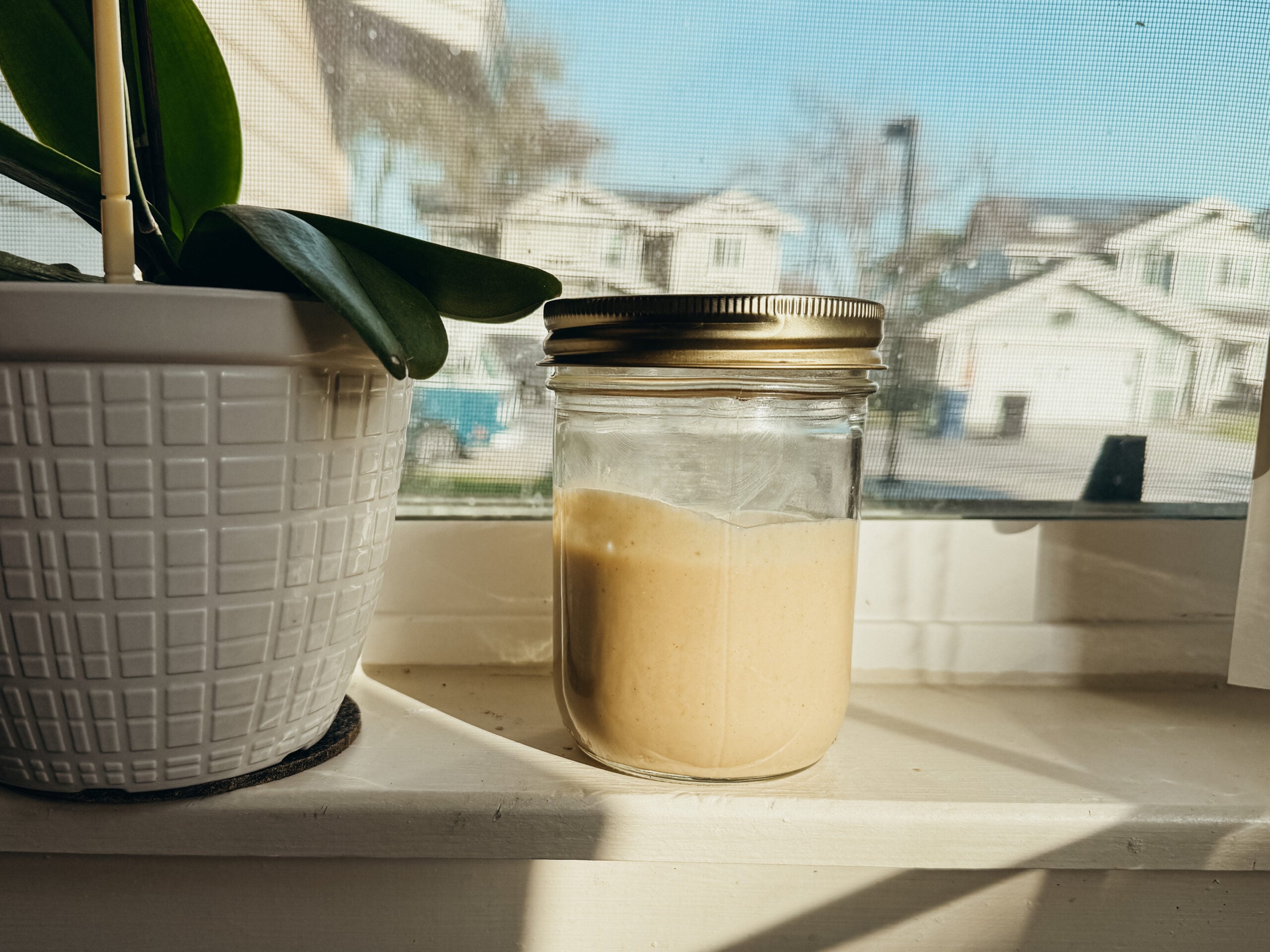 A jar of peanut butter sitting on a windowsill next to a potted plant.
