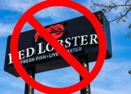 Red Lobster sign with a big red cancel symbol over it
