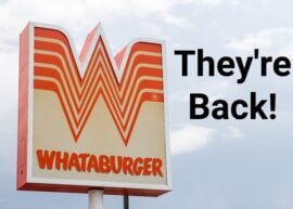 Whataburger sign with "They're Back!" written next to it in black letters