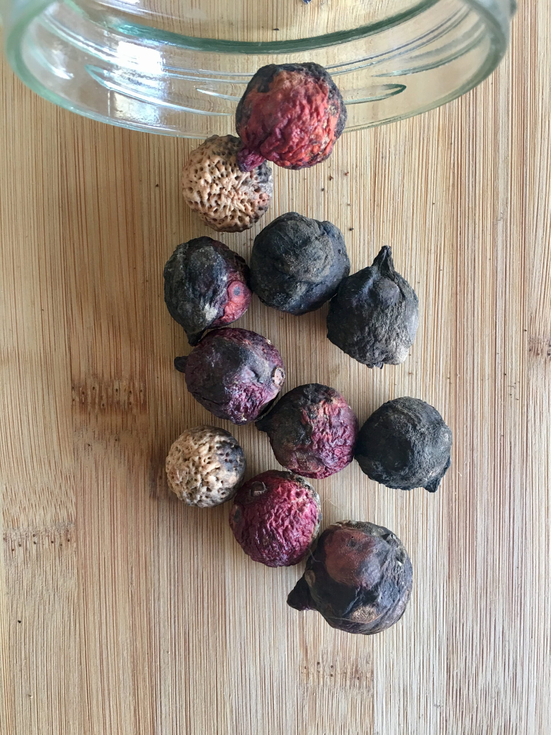 South Australian native sweet Quandong fruit, the main ingredient of quandong fizz.