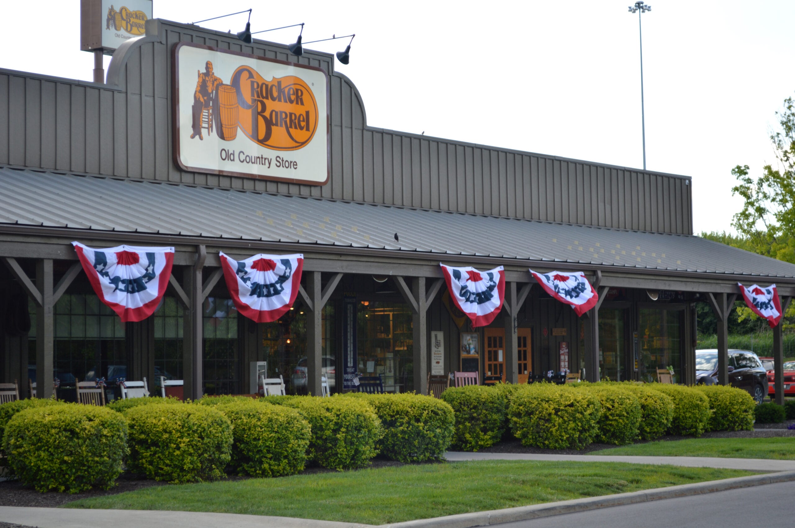 Campfire chicken (or beef)