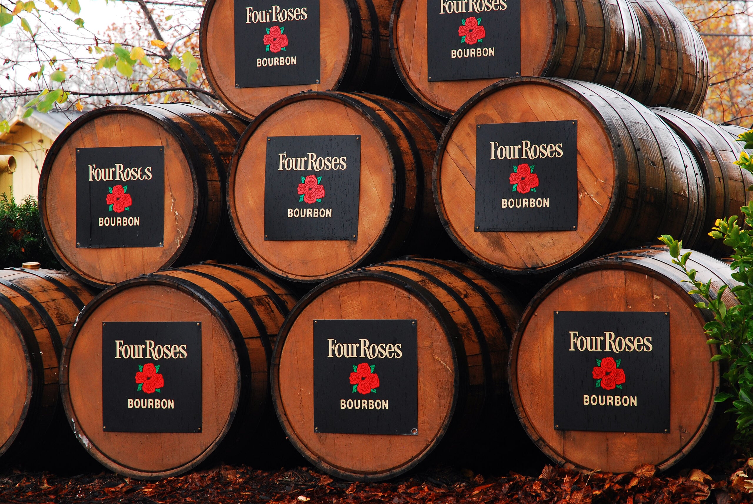 Four Roses