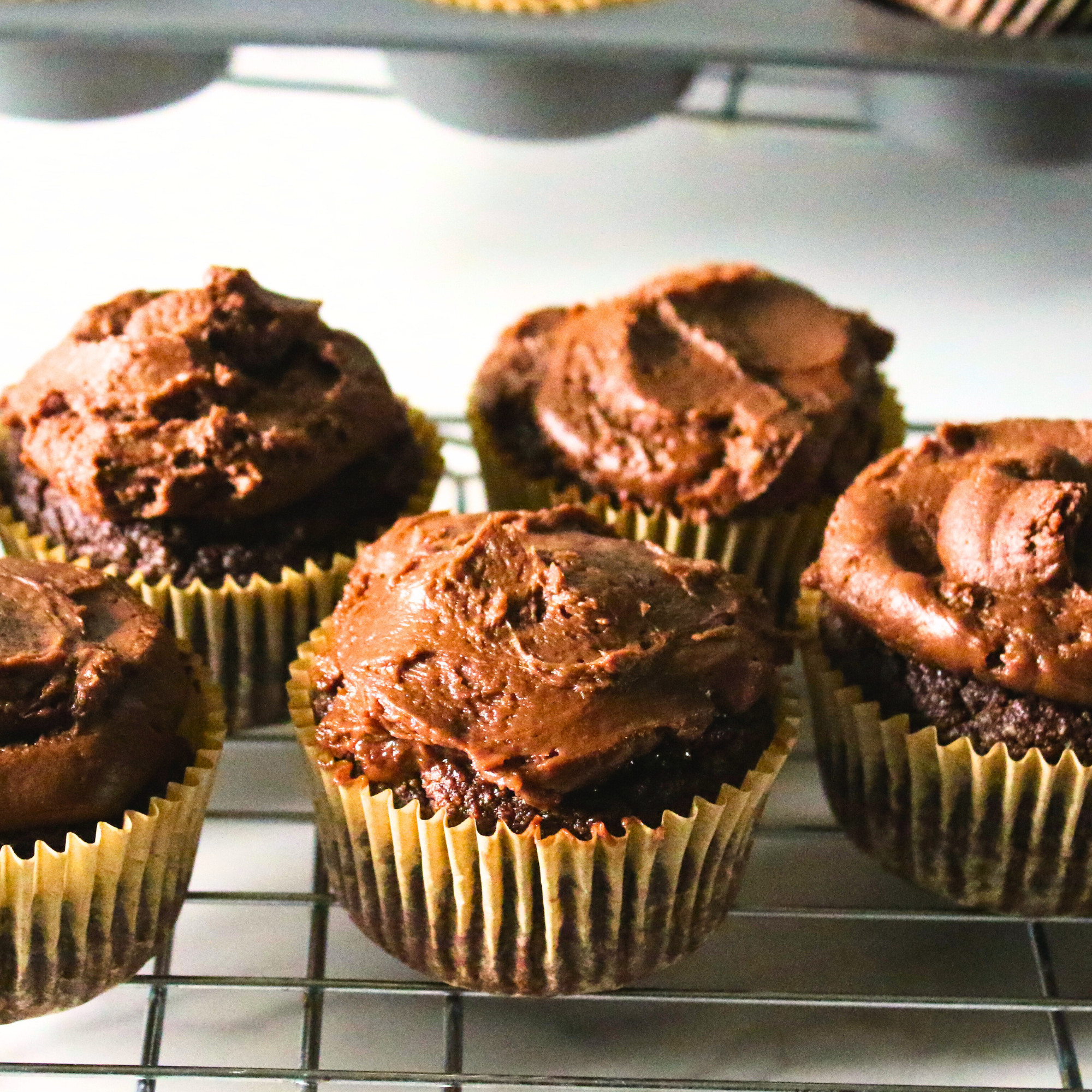 Chocolates cupcakes topped with chocolate frosting. 
