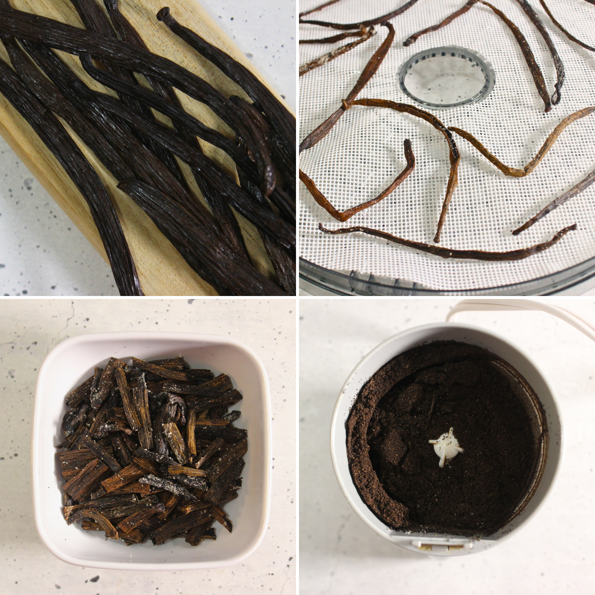 Blending dried vanilla beans into a powder.
