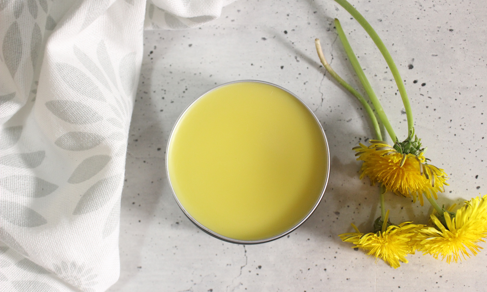 Dandelion Salve Recipe - The Coconut Mama
