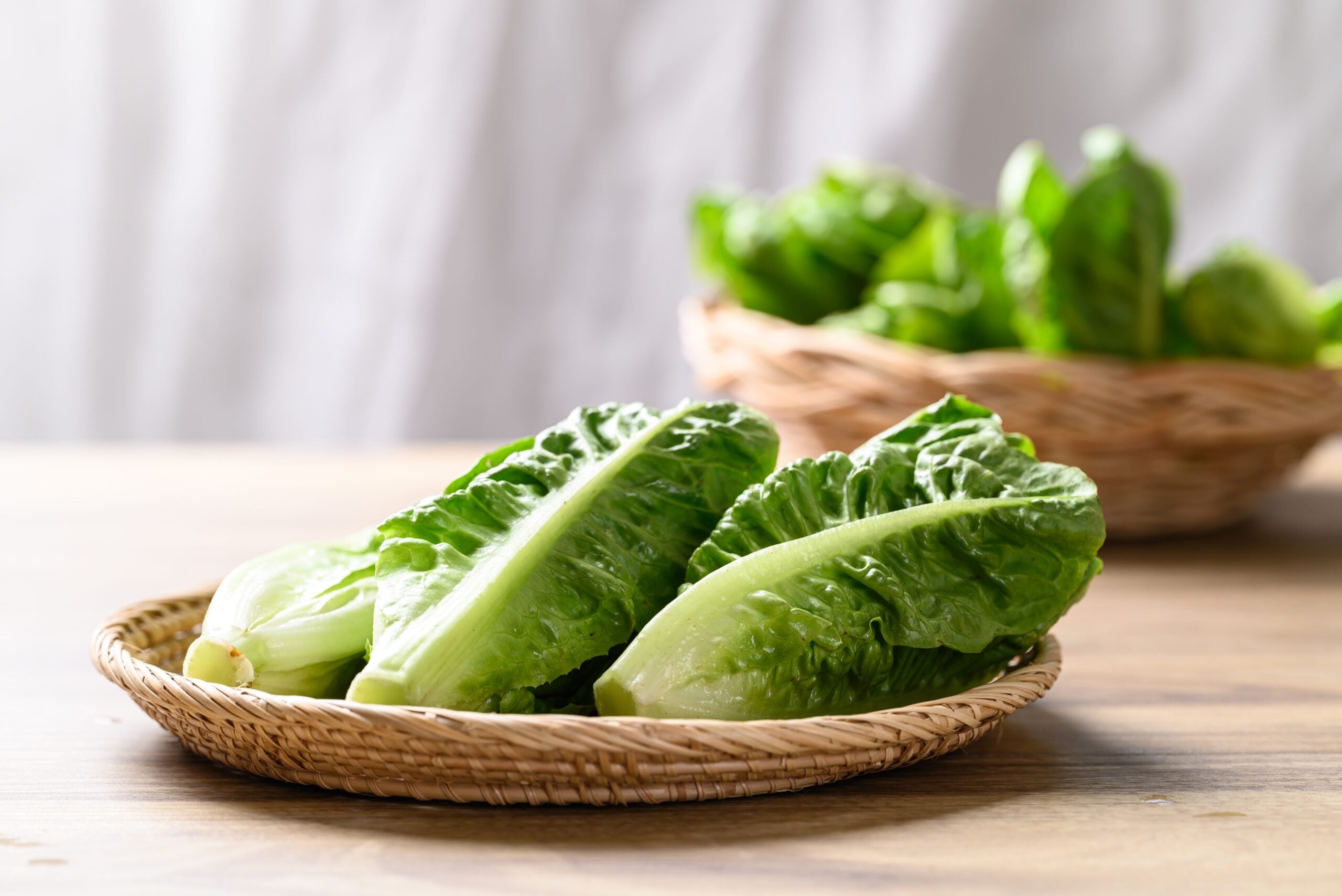 ##8: Romaine Lettuce