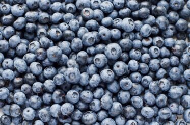 Popular grocery chain recalls frozen blueberries after E. coli illnesses reported in eight statesย