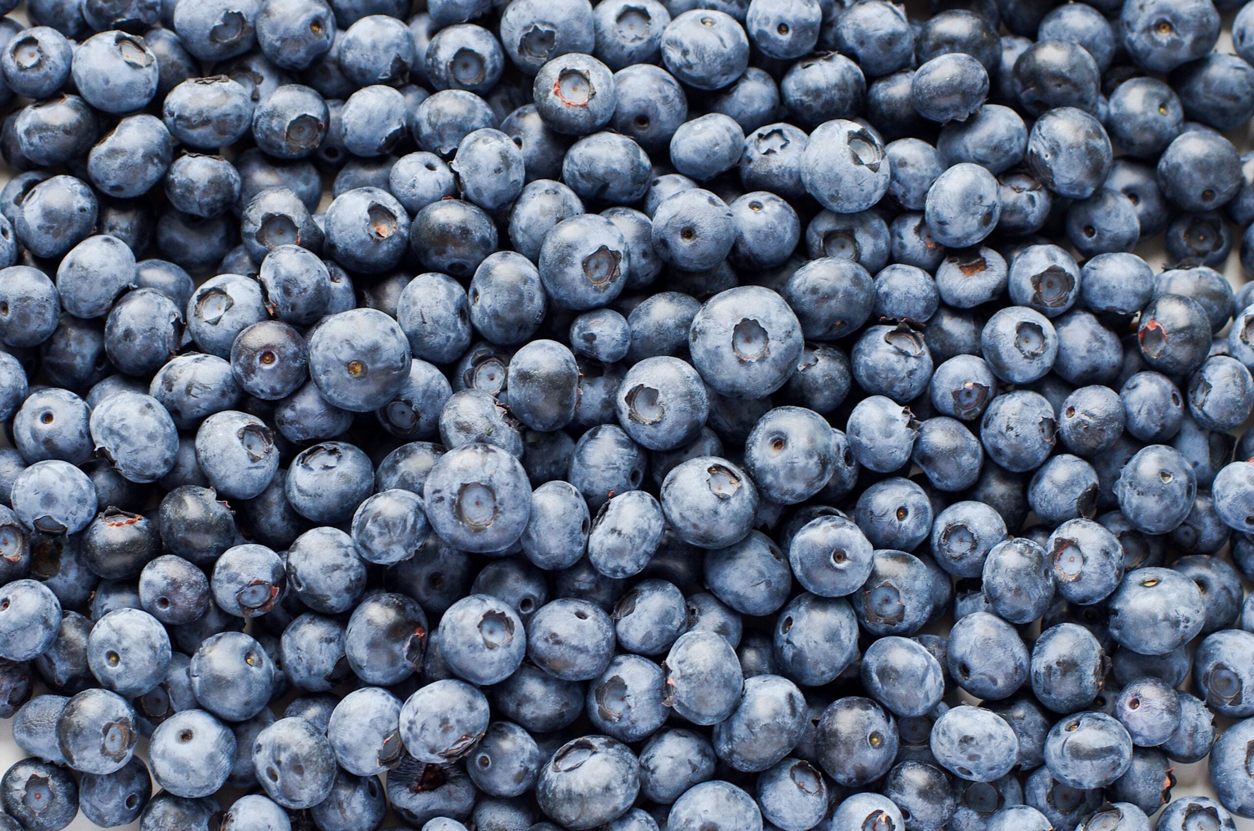 #7: Blueberries