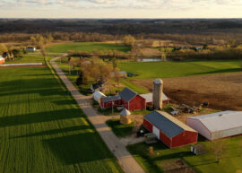 American midwestern countryside in springtime. Aerial view of farms with red barns in spring, rural road, agricultural fields