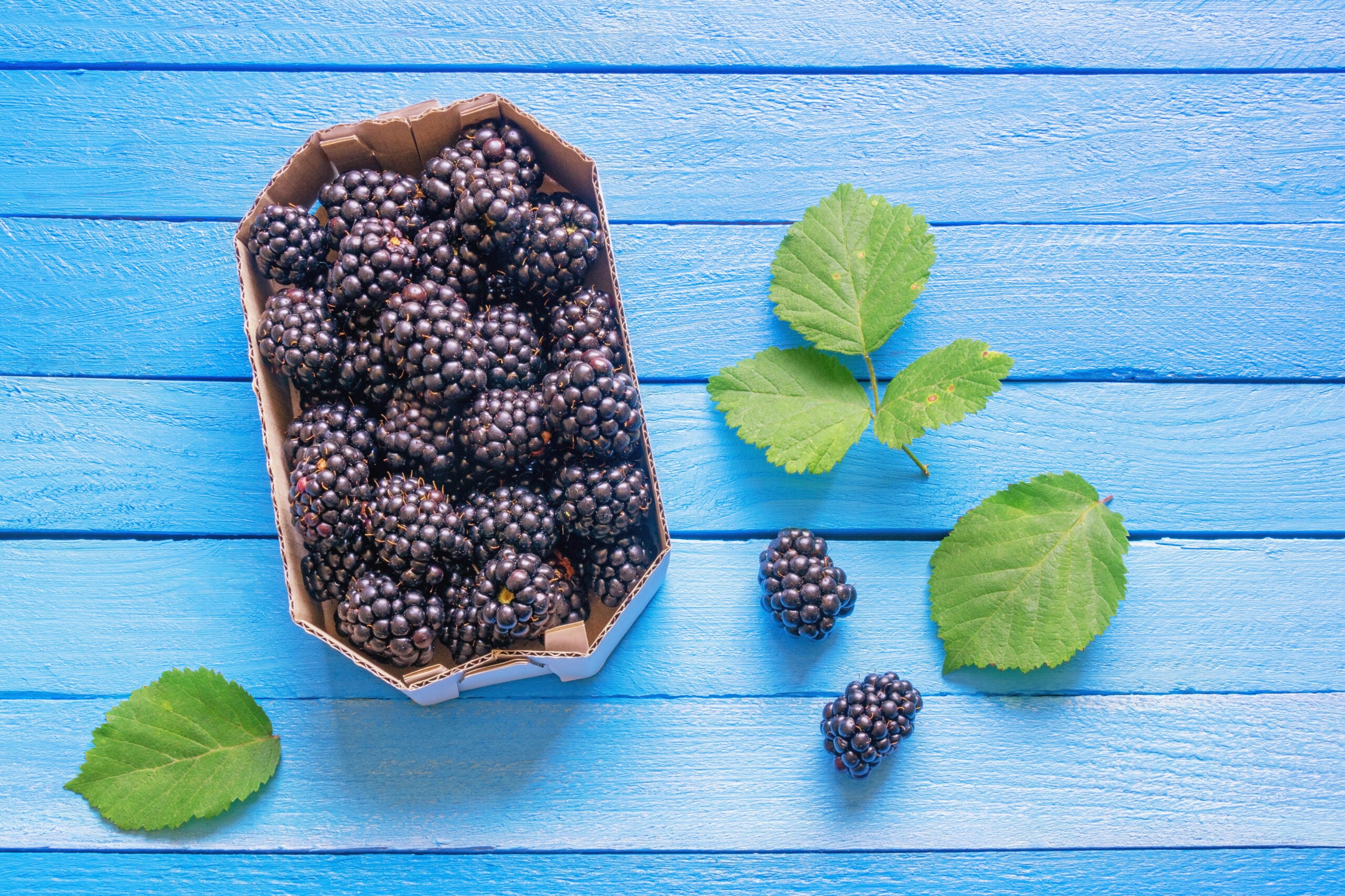 #3: Blackberries