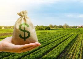 dollar sign bag with a farm in the background