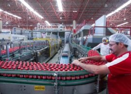 Man checking bottles at a manufacturing plant