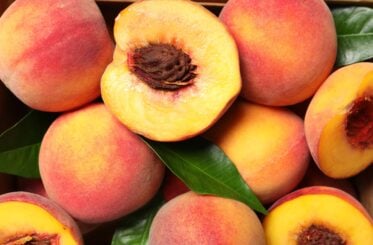 Historic California fruit plant closure leaves 765 workers without jobs after bankruptcy