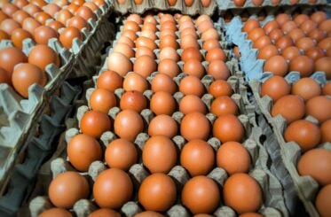 What’s the deal with the egg recall?