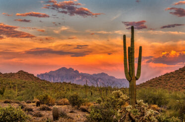 Sunset in the Sonoran Desert near Phoenix, Arizona