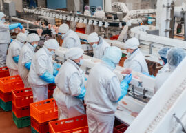 People working in a factory