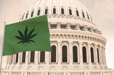 The flag of cannabis, and behind it the dome of the Capitol USA