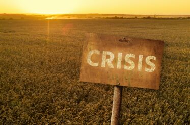 Rusty sign with the inscription "Crisis" on the background of a wheat field.