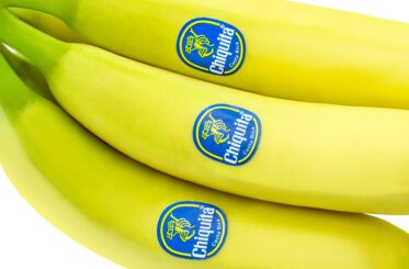 Chiquita bananas and label on white background