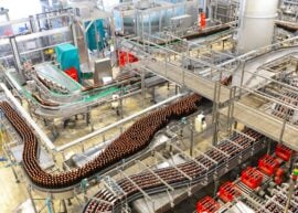 modern factory in the food industry - beer brewery - conveyor belt with beer bottles and machines for production