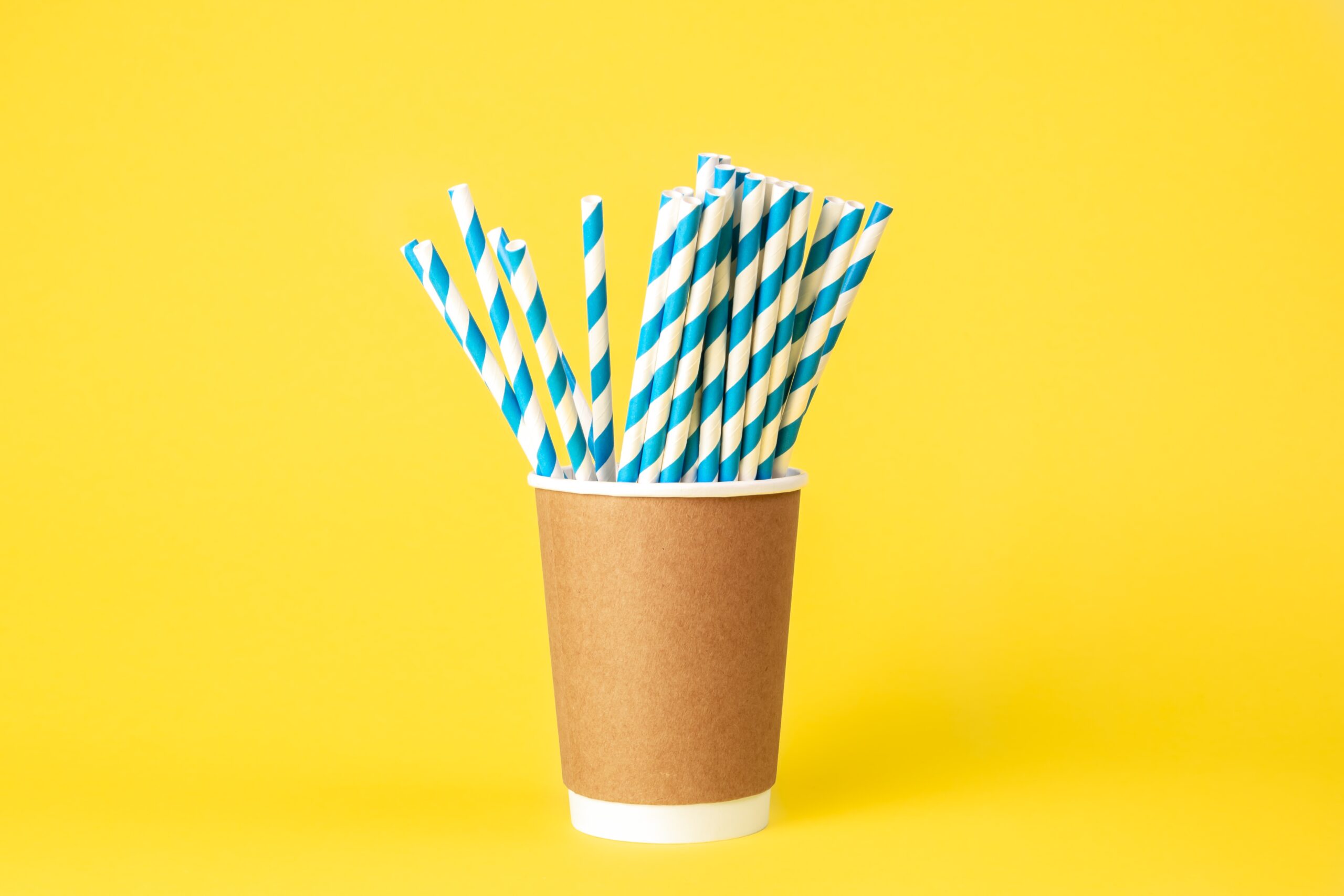 #2: Aardvark Paper Straws (Fort Wayne)