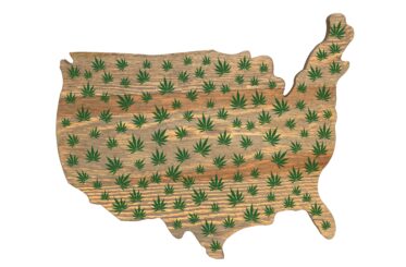 Map of US filled with green cannabis leaves isolated on white