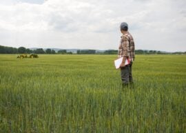 Farmer standing in his field with tractor in the distance