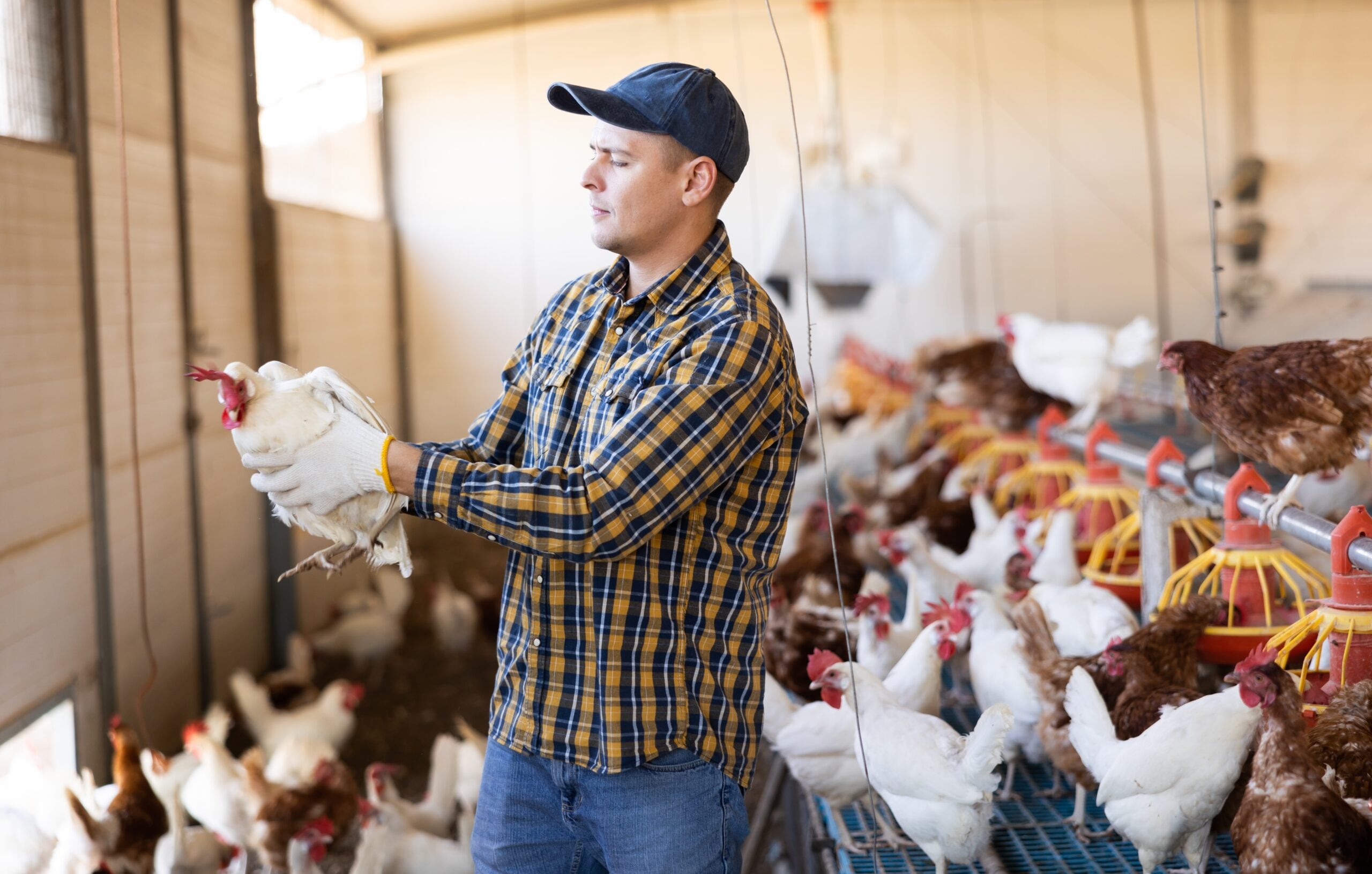 What it means for local communities