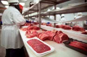 The “King’s butcher” was rescued — but 120 workers were not